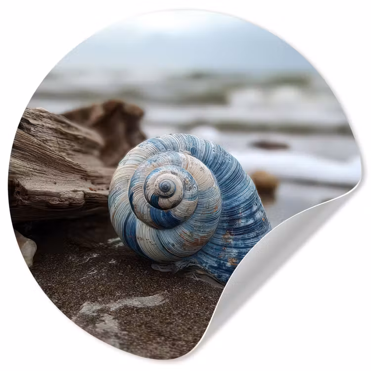 Schelp - Strand - Blauw - Zee Wandcirkel behangsticker klein -3d