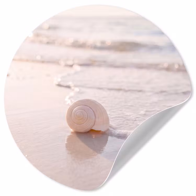 Zeeschelp - Strand - Zee - Natuur - Beige Wandcirkel behangsticker klein -3d