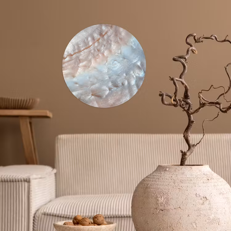 Schelpen - Abstract - Natuur Wandcirkel behangsticker klein -sfeer1