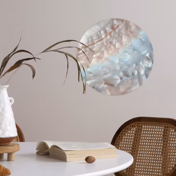 Schelpen - Abstract - Natuur Wandcirkel behangsticker klein -sfeer3