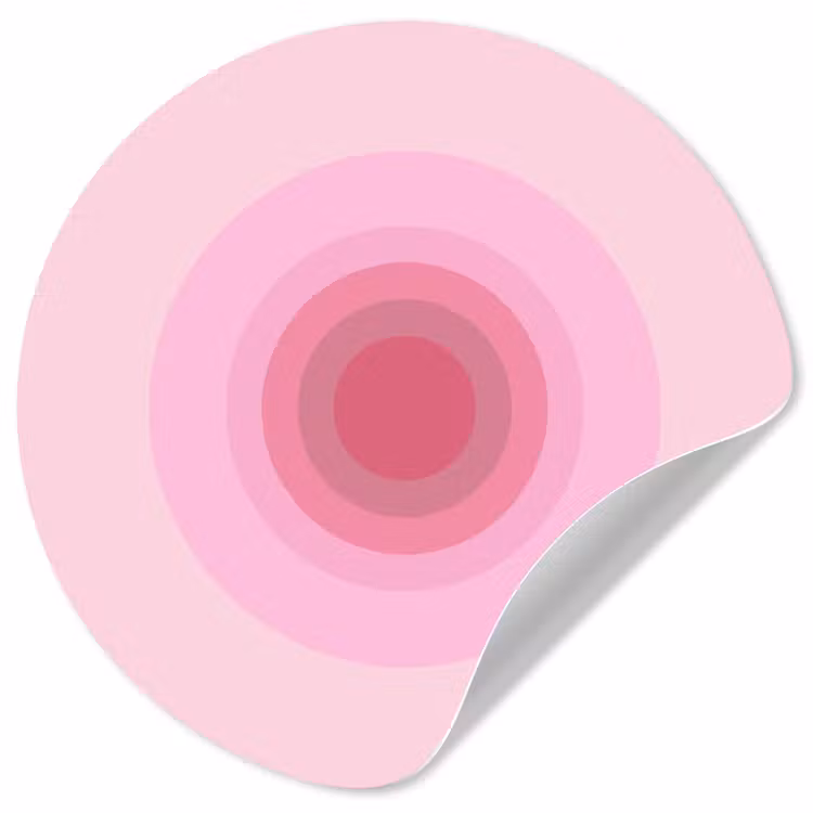 Patroon - Cirkels - Abstract - Roze - Modern Wandcirkel behangsticker klein -3d