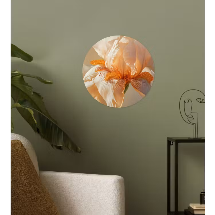 Close up - Oranje - Iris Wandcirkel behangsticker klein -sfeer2