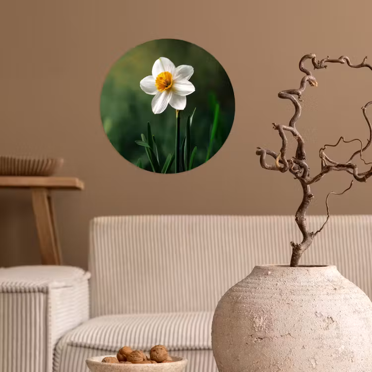 Narcis - Bloem - Wit - Grassprieten Wandcirkel behangsticker klein -sfeer1