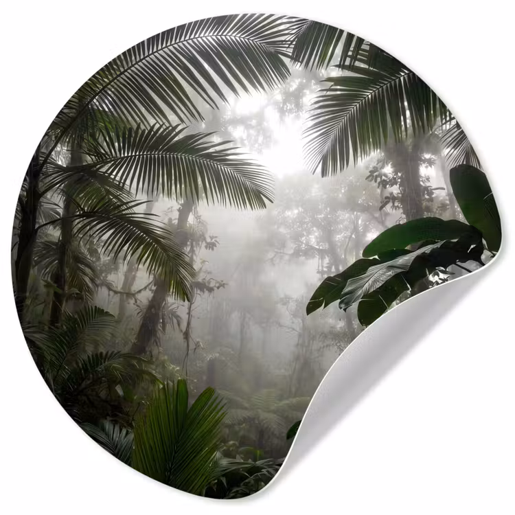 Natuur - Jungle - Mist - Groen - Bladeren Wandcirkel behangsticker klein -3d