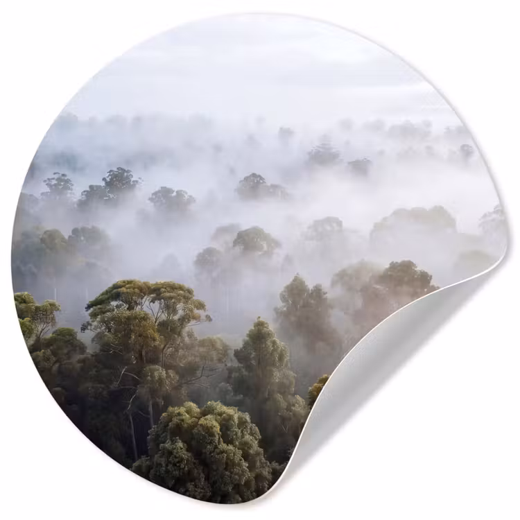 Natuur - Mist - Bos - Ochtend - Goud Wandcirkel behangsticker klein -3d