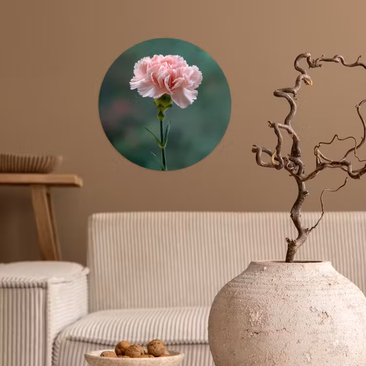 Anjer - Roze - Bloemblaadjes Wandcirkel behangsticker klein -sfeer1