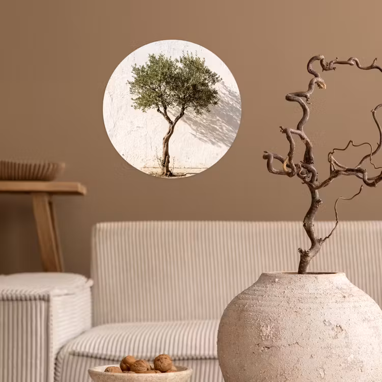 Runde Tapete - Olivenbaum – Wand – weiß - Olijfboom - muur - wit Wandcirkel behangsticker klein