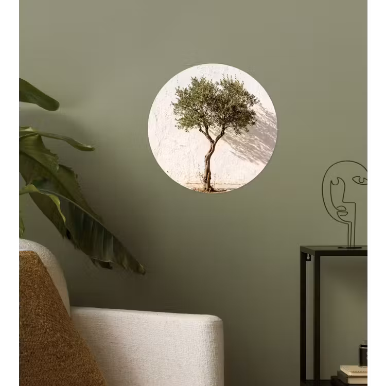Runde Tapete - Olivenbaum – Wand – weiß - Olijfboom - muur - wit Wandcirkel behangsticker klein