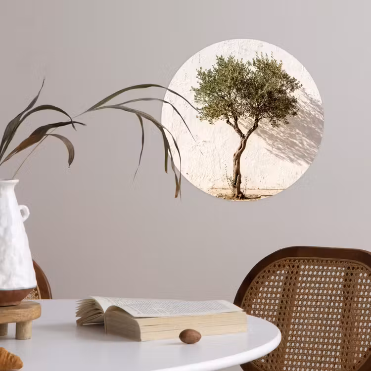Runde Tapete - Olivenbaum – Wand – weiß - Olijfboom - muur - wit Wandcirkel behangsticker klein