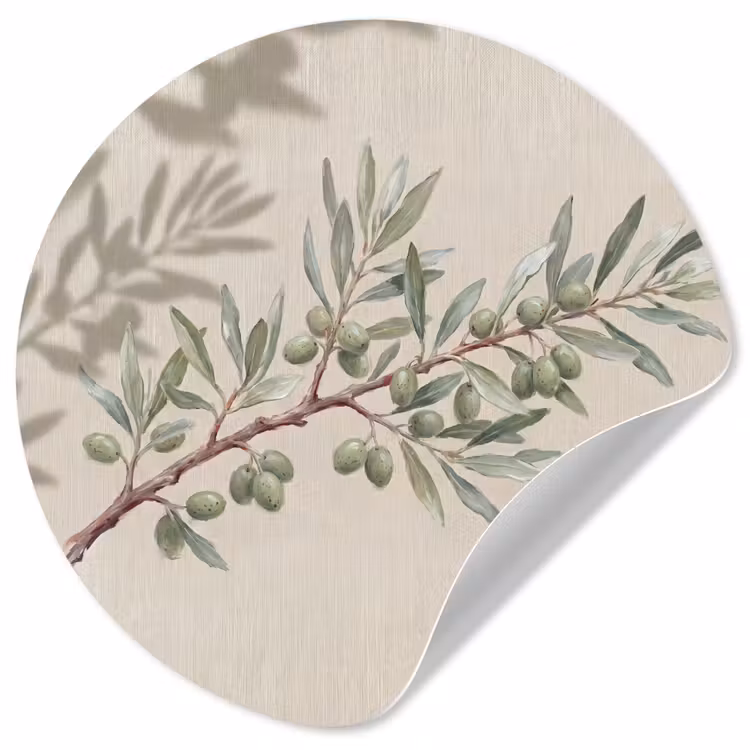 Olijftak - Bladeren - Natuur - Groen - Beige Wandcirkel behangsticker klein -3d