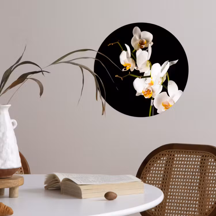 Orchidee - Bloemen - Planten - Botanisch Wandcirkel behangsticker klein -sfeer3