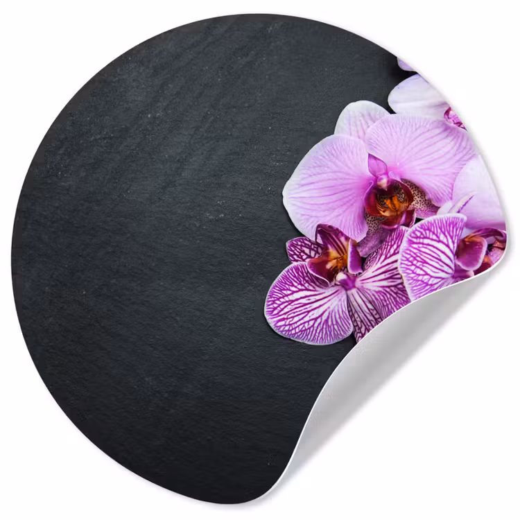Orchidee - Bloemen - Roze - Flora Wandcirkel behangsticker klein -3d