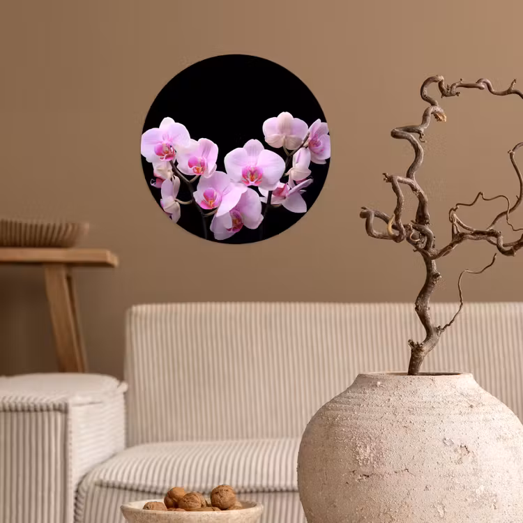 Orchidee - Bloemen - Roze - Flora Wandcirkel behangsticker klein -sfeer1