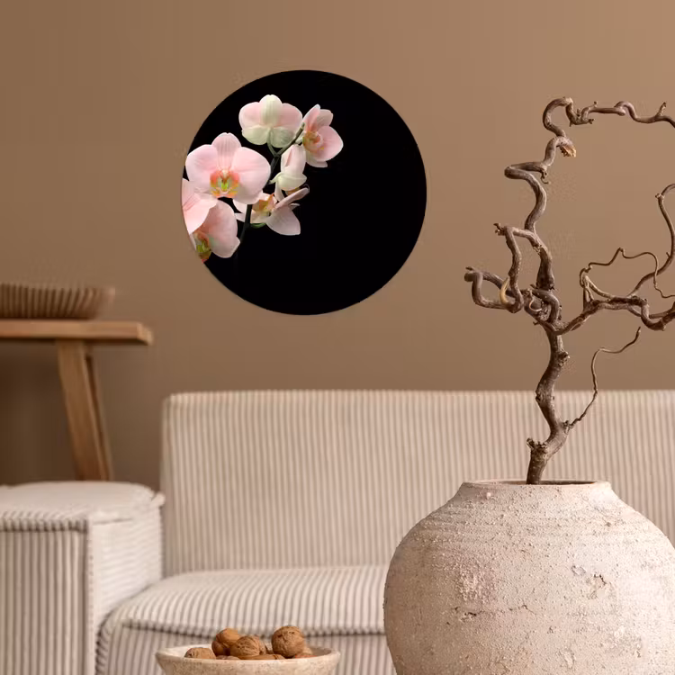 Orchidee - Bloemen - Roze - Stilleven - Flora Wandcirkel behangsticker klein -sfeer1