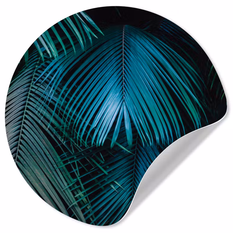 Palmblad - Tropisch - Natuur - Jungle Wandcirkel behangsticker klein -3d