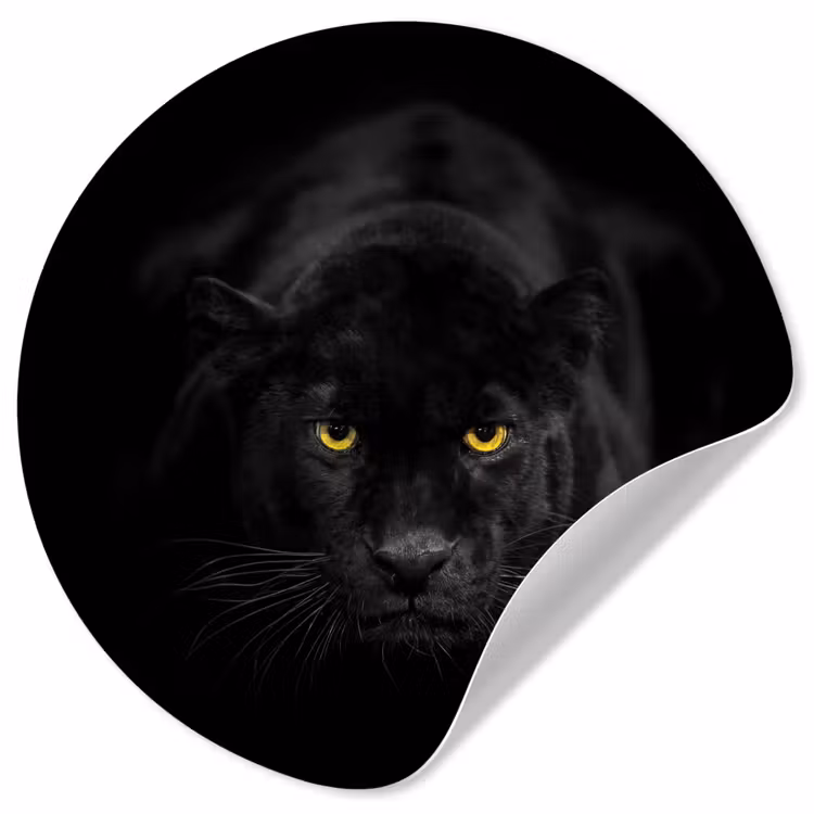 Panter - Dieren - Zwart - Ogen Wandcirkel behangsticker klein -3d