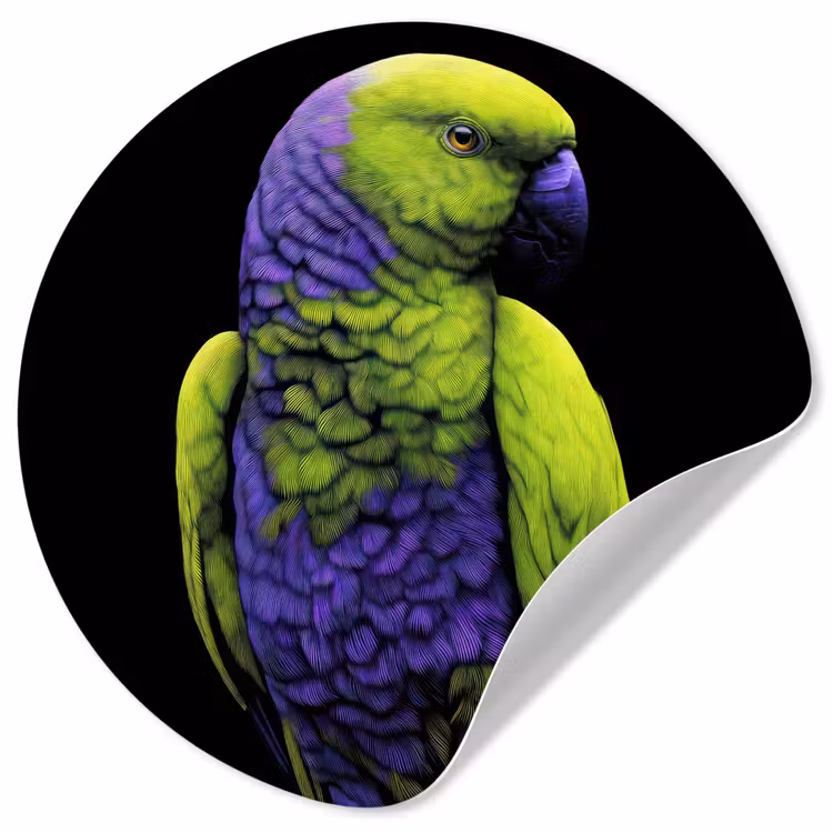 Papegaai - Veren - Opvallend - Groen Wandcirkel behangsticker klein -3d