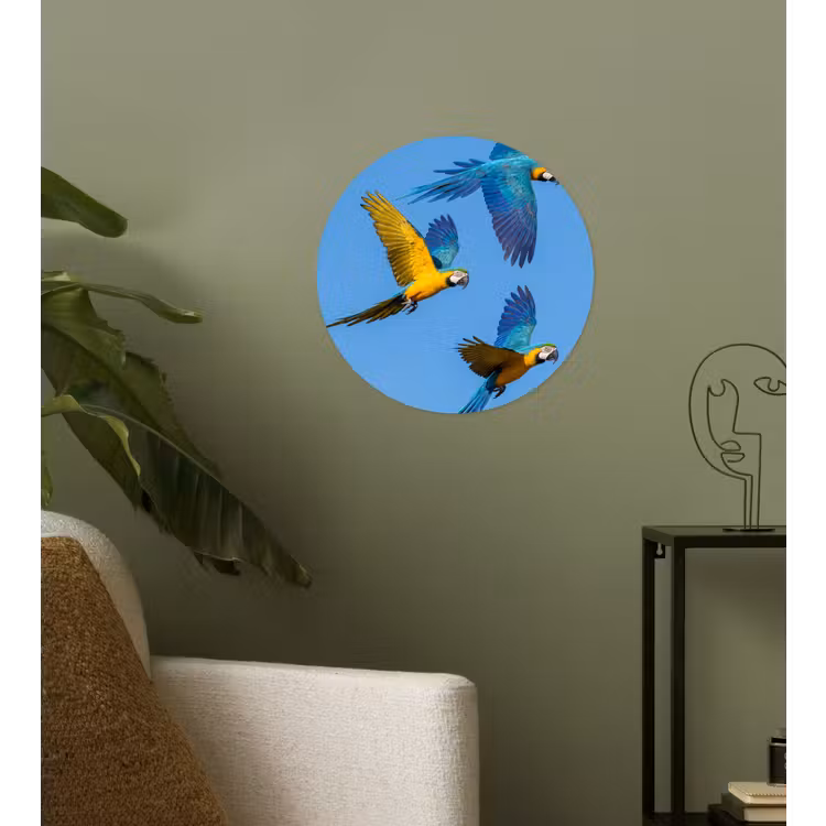 Papagaai - Vliegen - Blauw - Geel Wandcirkel behangsticker klein -sfeer2