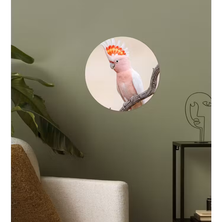 Papagaai - Tak - Roze Wandcirkel behangsticker klein -sfeer2