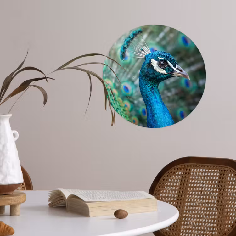 Pauw - Veren - Blauw Wandcirkel behangsticker klein -sfeer3