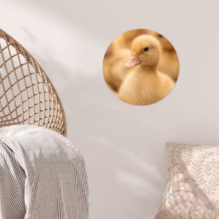 Pijltje - Eend - Natuur - Geel Wandcirkel behangsticker klein -sfeer4