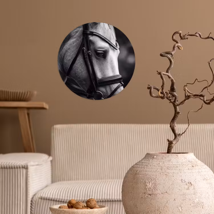 Paard - Schimmel - Portret Wandcirkel behangsticker klein -sfeer1