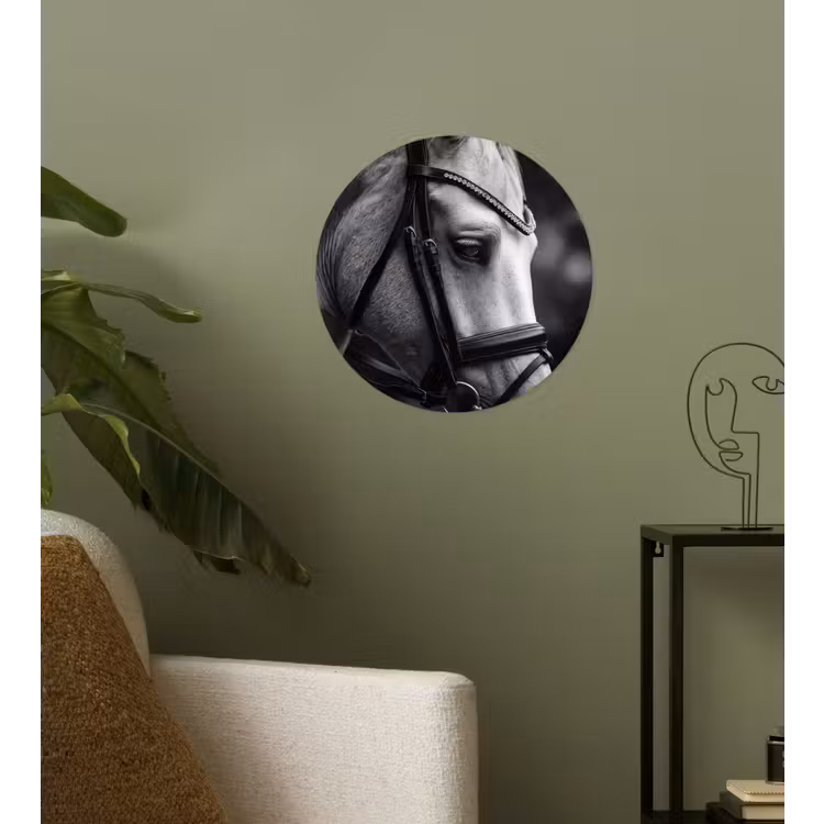 Paard - Schimmel - Portret Wandcirkel behangsticker klein -sfeer2