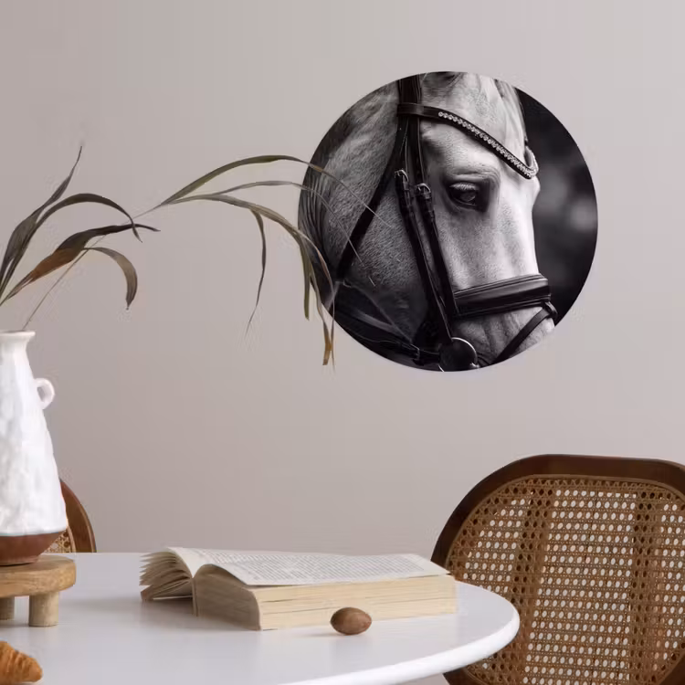 Paard - Schimmel - Portret Wandcirkel behangsticker klein -sfeer3