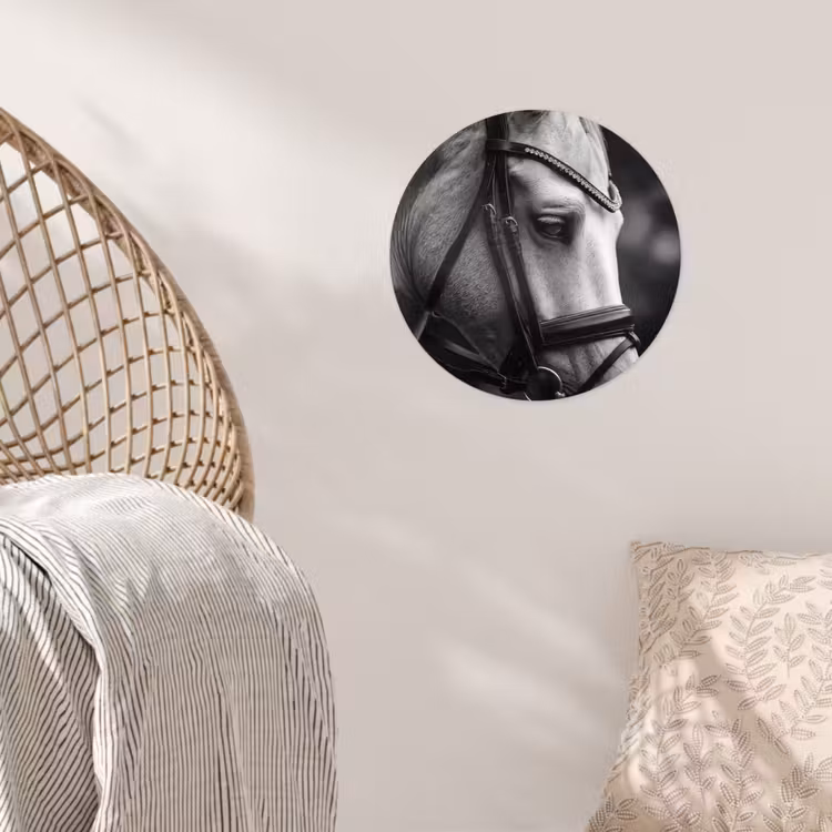 Paard - Schimmel - Portret Wandcirkel behangsticker klein -sfeer4