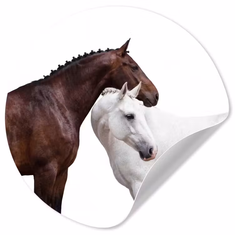 Paard - Modern - Balans Wandcirkel behangsticker klein -3d
