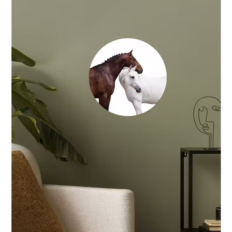 Paard - Modern - Balans Wandcirkel behangsticker klein -sfeer2