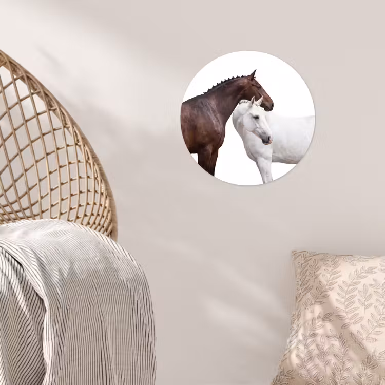 Paard - Modern - Balans Wandcirkel behangsticker klein -sfeer4