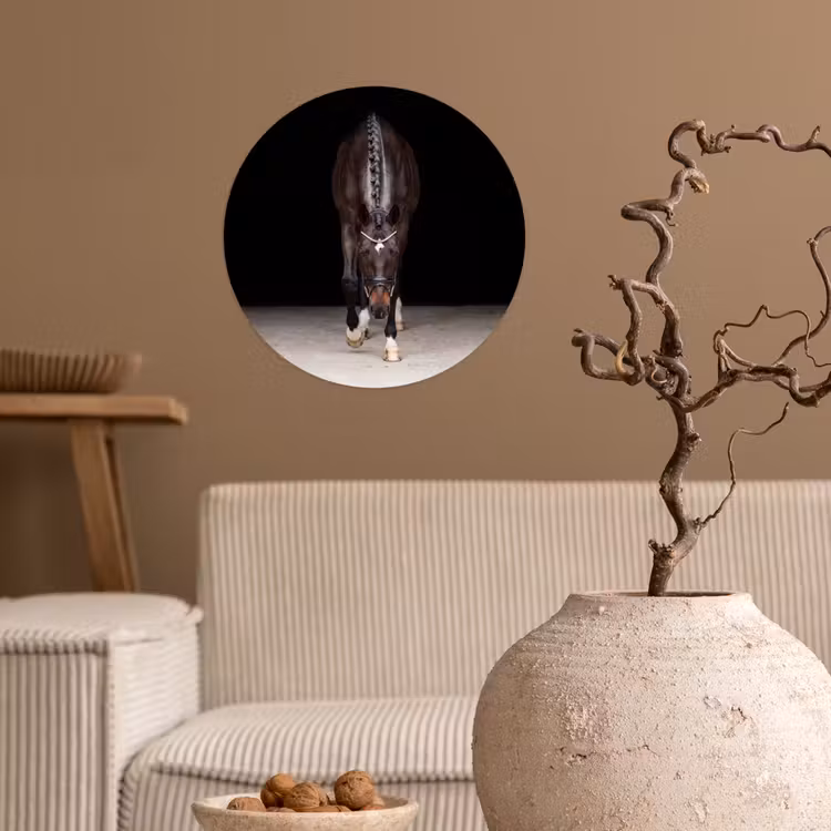 Paard - Modern - Portret Wandcirkel behangsticker klein -sfeer1