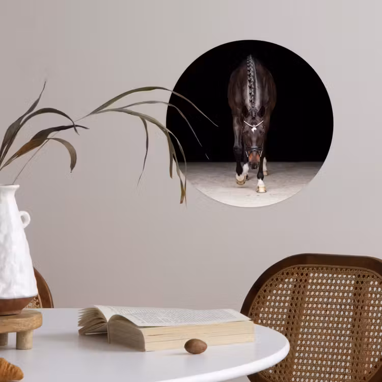 Paard - Modern - Portret Wandcirkel behangsticker klein -sfeer3