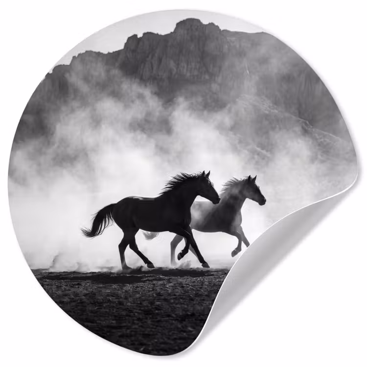 Paard - Ren - Stof - Zwart-wit - Dieren Wandcirkel behangsticker klein -3d