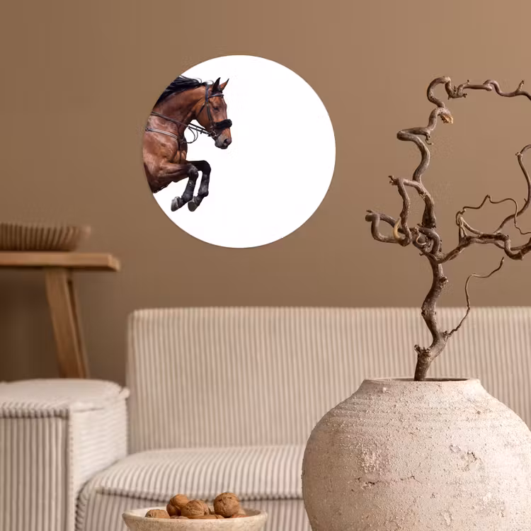 Paard - Springen - Modern Wandcirkel behangsticker klein -sfeer1