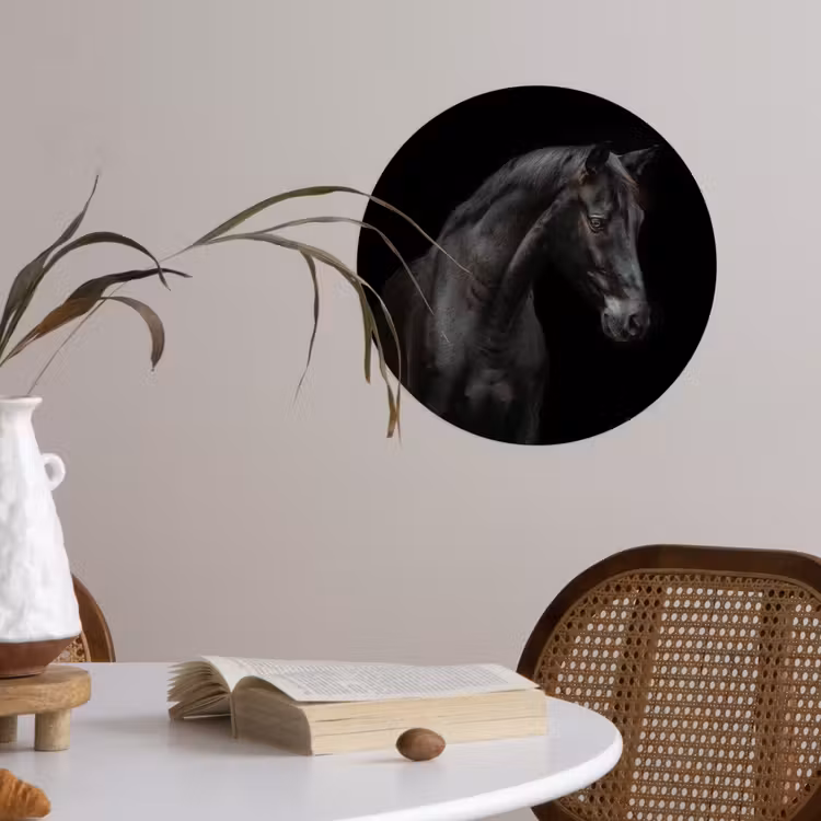 Paard - Dieren - Zwart - Portret Wandcirkel behangsticker klein -sfeer3