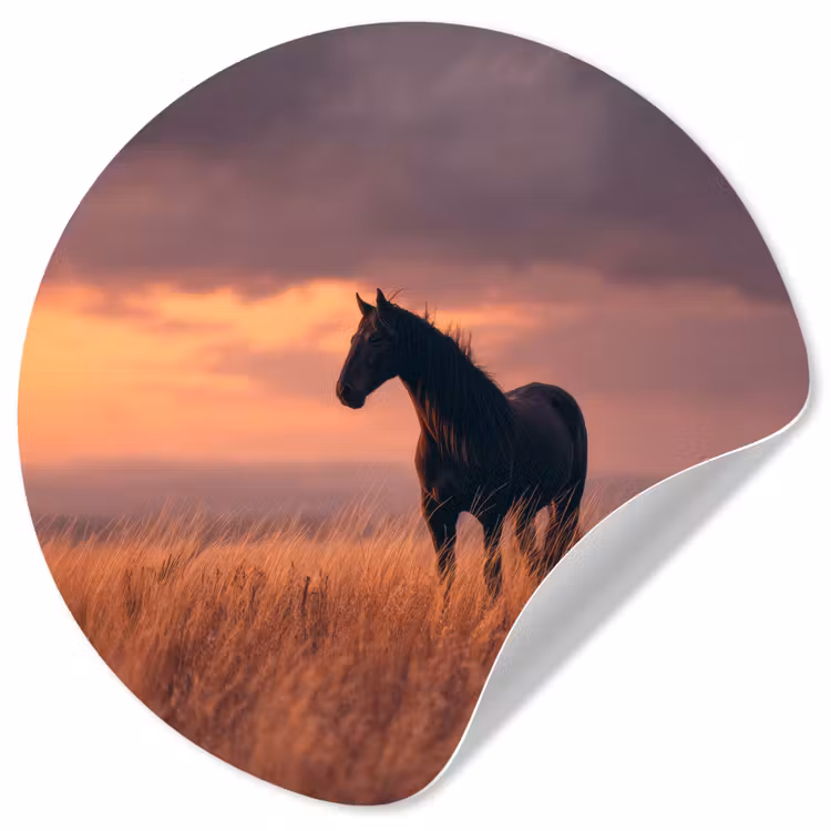 Paard - Wolken - Open veld Wandcirkel behangsticker klein -3d