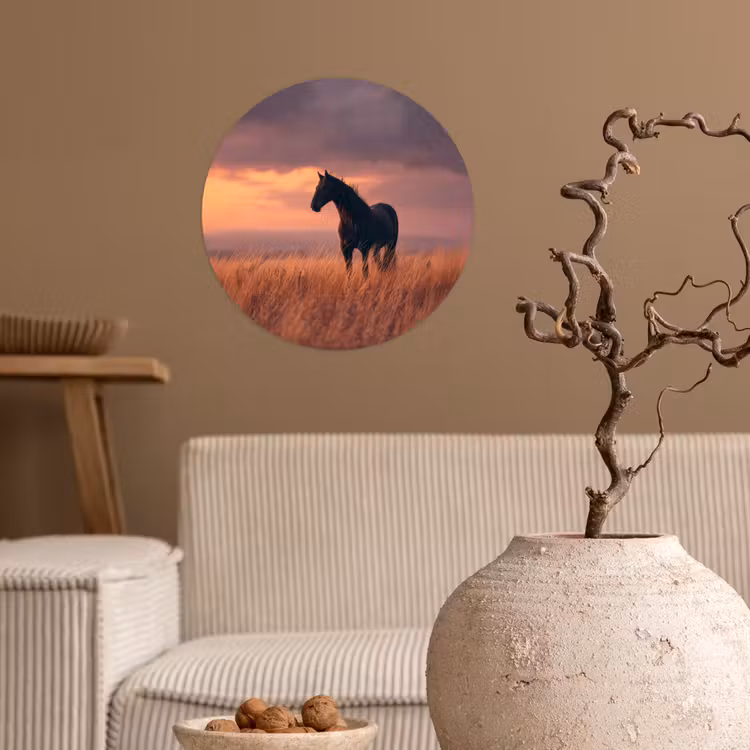 Paard - Wolken - Open veld Wandcirkel behangsticker klein -sfeer1