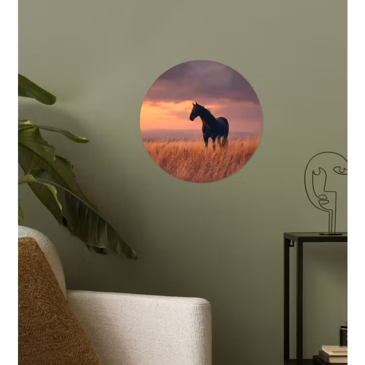 Paard - Wolken - Open veld Wandcirkel behangsticker klein -sfeer2