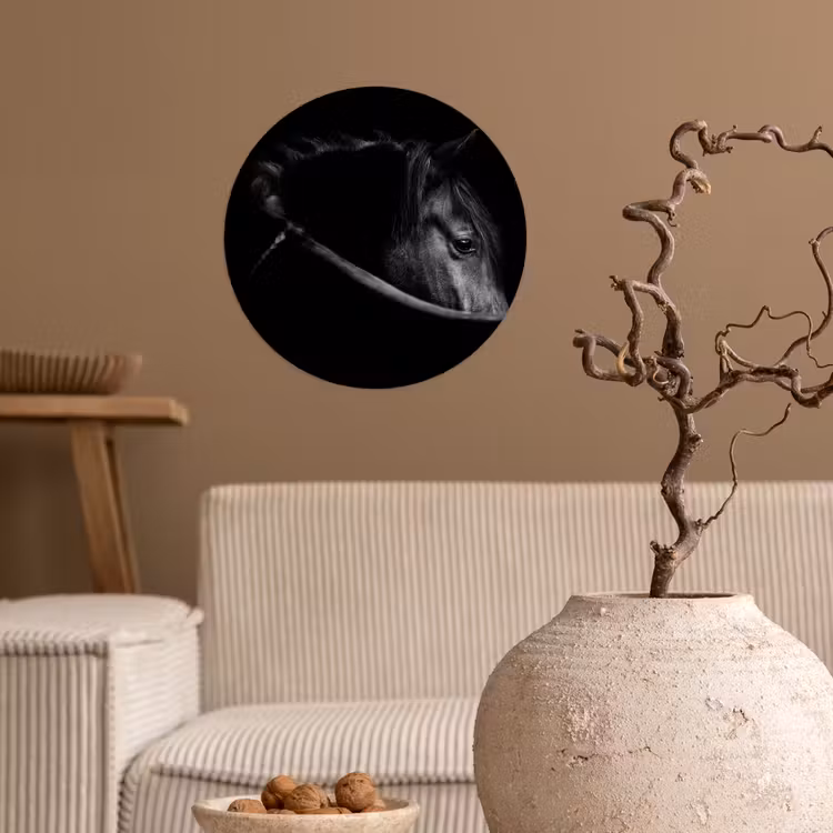 Paarden - Portret - Zwart - Dieren Wandcirkel behangsticker klein -sfeer1