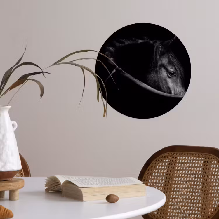 Paarden - Portret - Zwart - Dieren Wandcirkel behangsticker klein -sfeer3