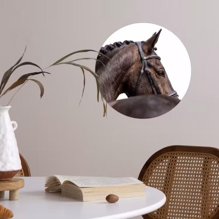 Portret - Paard - Elegant Wandcirkel behangsticker klein -sfeer3