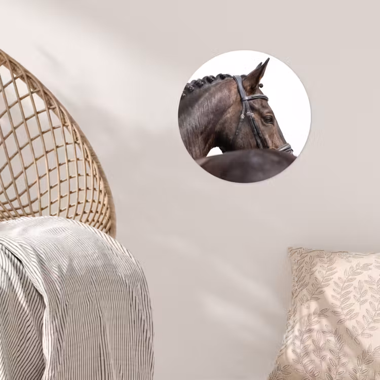 Portret - Paard - Elegant Wandcirkel behangsticker klein -sfeer4