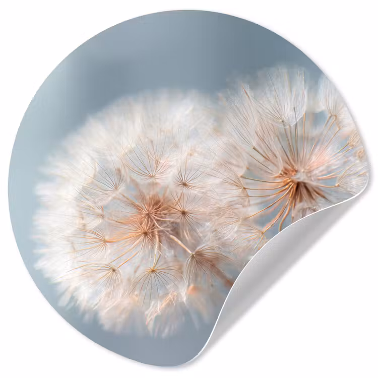 Paardenbloemen - Pluisjes - Wit Wandcirkel behangsticker klein -3d