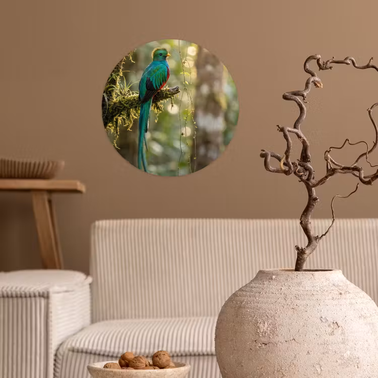Quetzal - Jungle - Natuur - Groen Wandcirkel behangsticker klein -sfeer1
