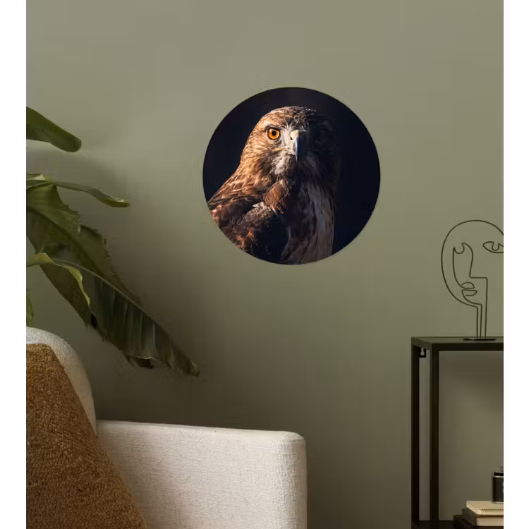Roofvogel - Buizerd - Bruin Wandcirkel behangsticker klein -sfeer2
