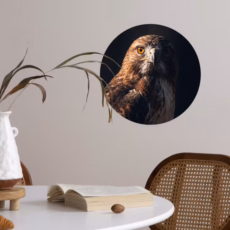 Roofvogel - Buizerd - Bruin Wandcirkel behangsticker klein -sfeer3