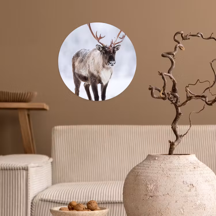 Rendier - Gewei - Toendra - Sneeuw - Wild Wandcirkel behangsticker klein -sfeer1