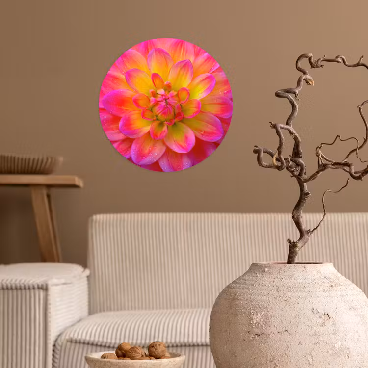 Roze - Dahlia - Kleurrijk Wandcirkel behangsticker klein -sfeer1